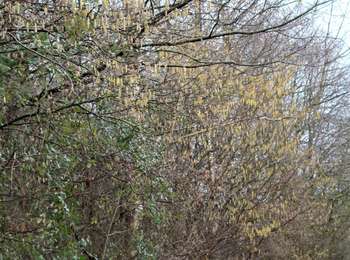 Trail Walking Liège - Jupille Bois Sauvage Beyne Fayenbois  - Photo