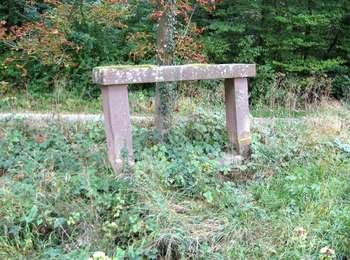 Trail On foot Lembach - Anneau bleu - Photo