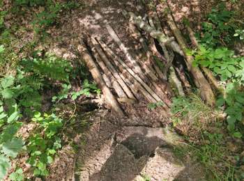 Trail Walking Hotton - melreux-hotton-ny - Photo
