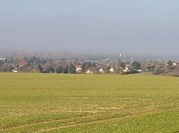 Trail Walking Courlon-sur-Yonne - Courlon 250216 - Photo