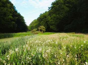 Tocht Stappen Hoeilaart - Varkensgat (Hoeilaart) - Rando courte - Photo