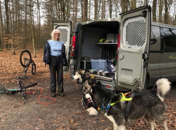 Trail Sled dogs Belœil - Entre amis - Photo