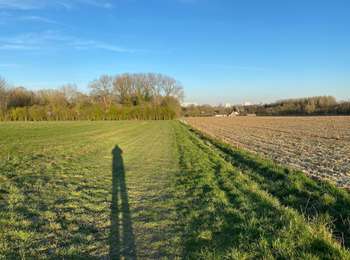 Randonnée Marche Asse - Berchem 7 km - Photo