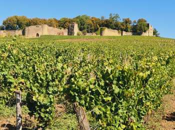 Trail Walking Arlay - Boucle JUHANS - Photo