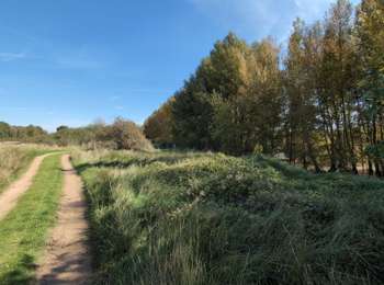 Randonnée Marche Fondettes - Fondettes la Chauvellière - l'Île de Quinquengrogne - 11.2km 120m 3h20 (30mn) - 2025 10 01 - Photo
