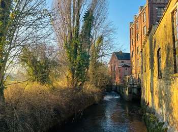 Trail Walking Waremme - Cirkwi-Waremme_-___Au_coeur_d_Oleye__-_5,5km - Photo