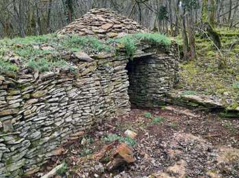 Trail Walking Monnières - monnieres - Photo