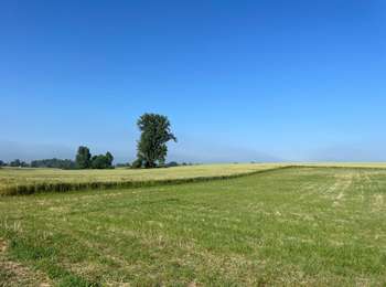 Trail sport Les Bons Villers - Reves Sart a Reves - Photo