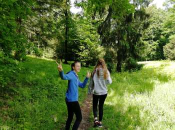 Trail Walking Esneux - Esneux bois du mary - Photo