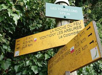 Trail Walking Montigny-lès-Arsures - Montigny les Arsures  - Photo