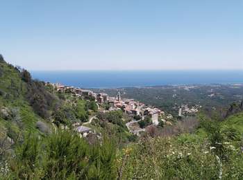 Trail Walking Cervione - Belvédère de Cervione - Photo