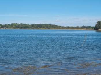 Tour Wandern Locoal-Mendon - local mendon 4 août 2022 - Photo