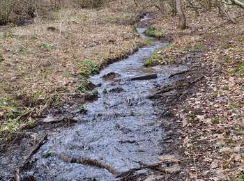Trail Walking Stoumont - chevron Promenade des fontaines  - Photo