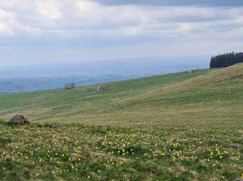 Percorso Marcia Saint-Sauves-d'Auvergne - Chalannes-stéle-charbonniere - Photo