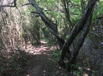 Randonnée Marche Dampierre-en-Yvelines - Le long du mur du chateau Dampierre  - Photo