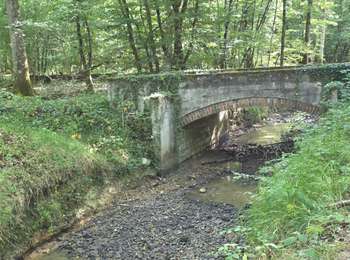 Trail Walking Bléneau - Bleneau les étangs 89 - Photo