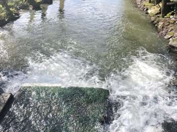 Tocht Mountainbike Jemeppe-sur-Sambre - Emilie  - Photo