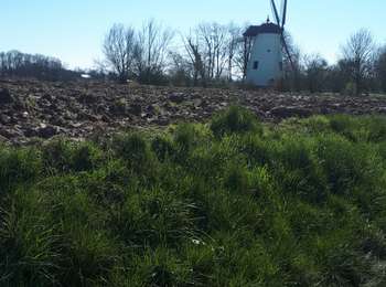 Tocht Stappen Walhain - Walhain-Saint-Paul _ Marche privée  - Photo