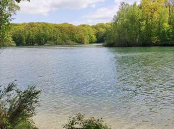 Excursión Senderismo Froidchapelle - La balade du bois du Grand Oupia aux lacs de l'eau d'heure - Photo