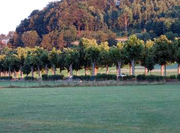 Tocht Te voet Mersch - Autopedestres : Rollingen - Photo