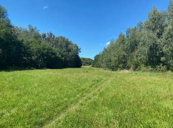 Tocht Stappen Hoeilaart - S-GR Groene Gordel: Groenendaal - Tervuren - Photo