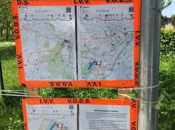 Trail Walking Belœil - Beloeil Amis de la Nature d’Ath - Photo