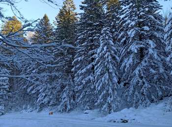 Trail Touring skiing Haut-du-Them-Château-Lambert - 26-12-24 SRN Ballon Servance - Photo