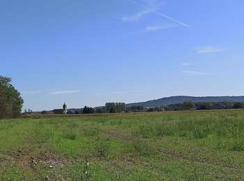 Trail Walking Baudoncourt - rando Baudoncourt ( nul)  - Photo