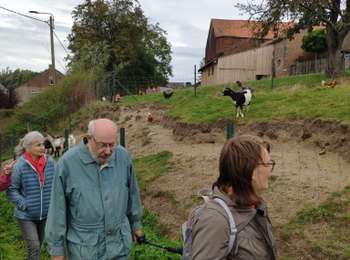 Tocht Stappen Ramillies - Gerompont - Photo