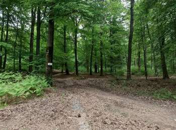 Trail Hybrid bike Libramont-Chevigny - 13072981-VTC50KM_LIBRAMONT - Photo