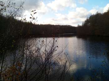 Tour Wandern Cernay-la-Ville - Les Vaux de Cernay - Photo