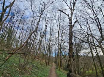 Trail Walking Pepinster - Route d'Artagnan  - Étape 2️⃣ - Photo