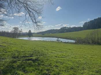 Trail Walking Vallerois-le-Bois - Valerois le bois  - Photo