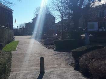 Trail Nordic walking Dison - andrimont_28_02_2021 - Photo