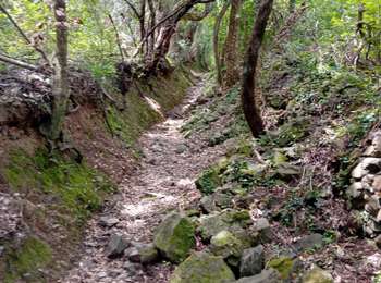 Excursión Marcha nórdica Santa-Maria-Poggio - sta maria poggio  - Photo