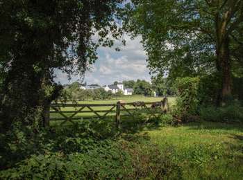 Tocht Stappen Court-Saint-Étienne - Promenade 6 du Chenoy - Photo