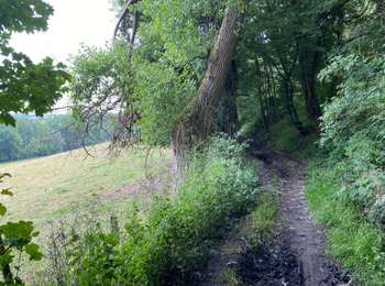 Trail Walking Flobecq - Flobecq 12,2 km - Photo