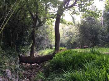 Tour Wandern Biarritz - Tour des lacs BTZ - Photo