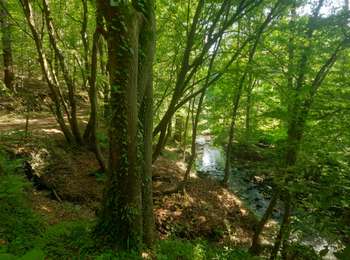 Trail Walking Nandrin - Villers-le-Temple - Photo