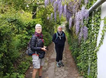 Tour Wandern Linkebeek - 2019-05-02 Linkebeek 20 km - Photo