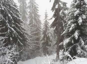 Percorso Racchette da neve La Clusaz - 221210 pointe de beauregard - Photo