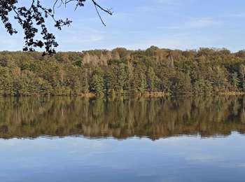 Trail Walking Citers - 17-10-21 etang de la velle - Photo