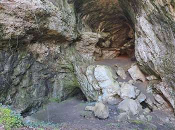 Trail Walking Saulnot - corcelles les jonquille  - Photo