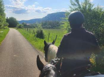 Tour Pferd Celles-sur-Plaine - Wikiloc - Celles-sur-Plaine : Gîte de la Crémaillotes - Photo