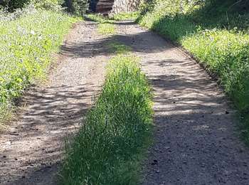 Percorso Marcia Orcines - PUY DES GOUTTES - Photo