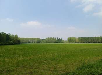 Trail Walking Antoing - BruBer/Péronnes-Lez-Antoing #1 - Photo