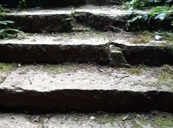 Trail Walking Montaigu - Montaigu 2019 - Photo