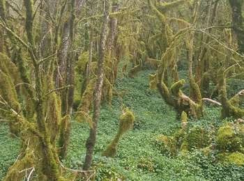 Trail Walking Villards-d'Héria - source d'heria - Photo