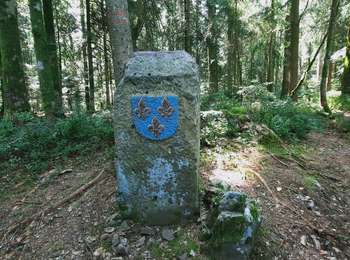 Trail Walking Fresse - Fresse par les Bornes Royales - Photo