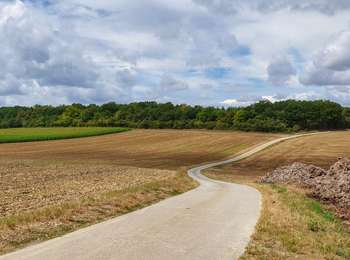Trail Walking Doische - Balade à Matagne-la-Petite - Photo